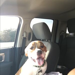 Meet your Posher, Brett